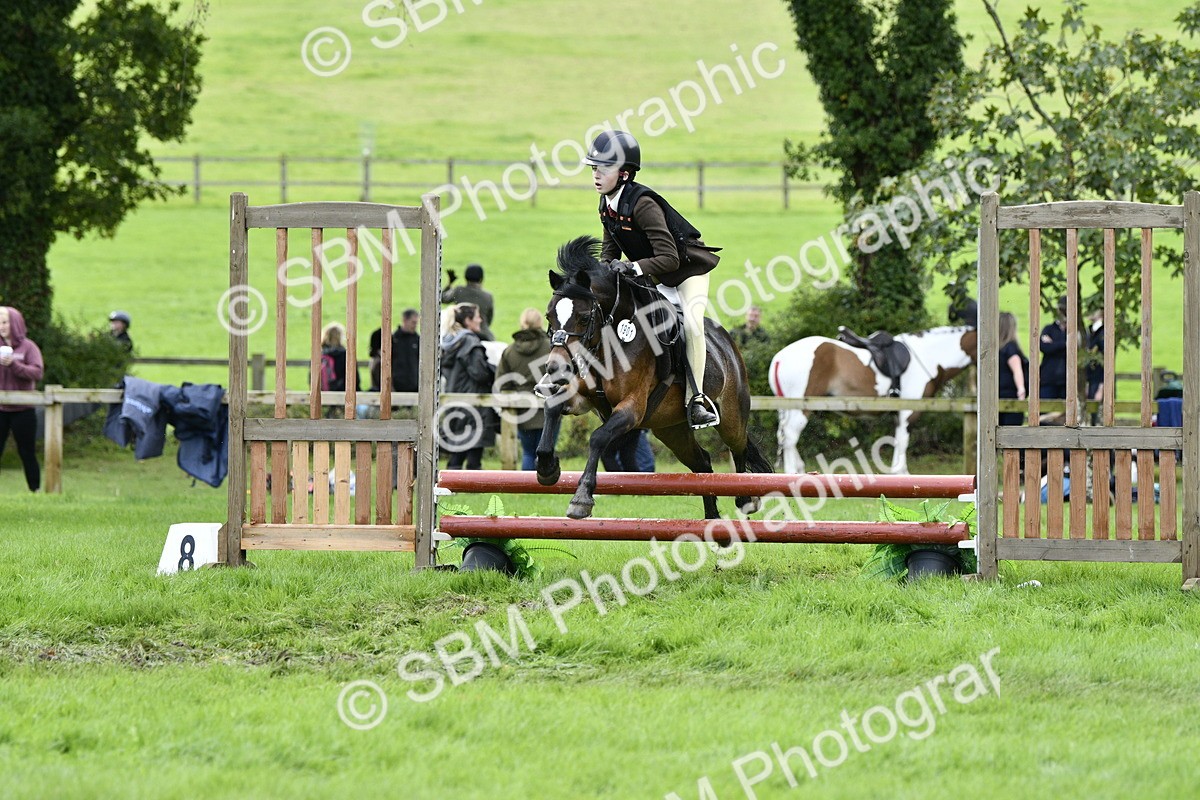 SBM_41274 - S32 - Mountain & Moorland Working Hunter Pony