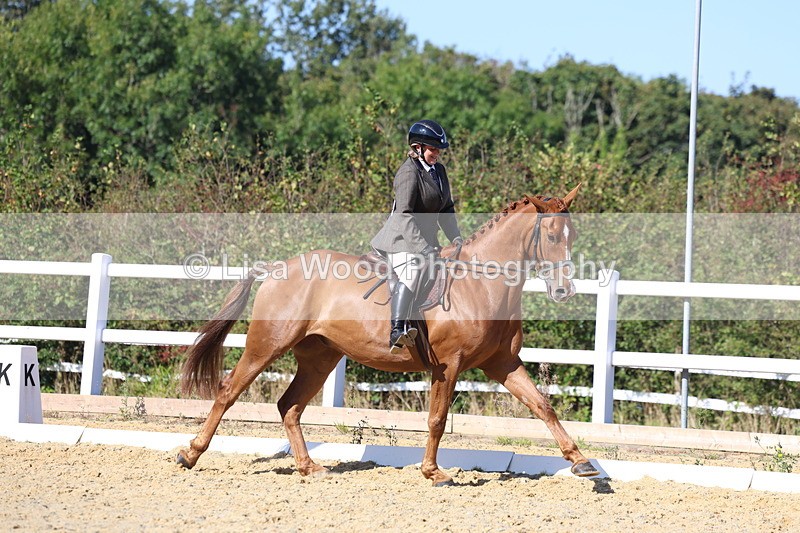 3E7A5654 - Class 9: Open Ridden Hunter