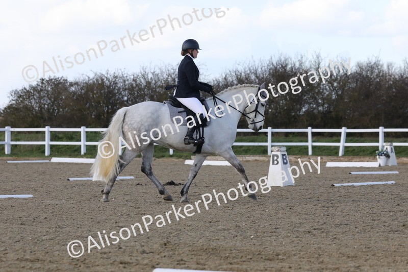 20260314-5082 - CT6 - Elementary 1