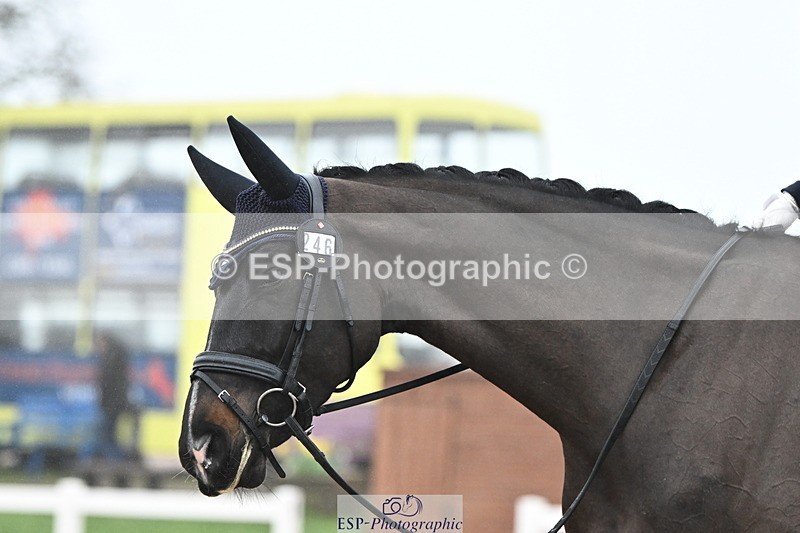 240217A-093901-00588 - 246-Hannah.Biggs-St.Giles.Fortune.Cookie