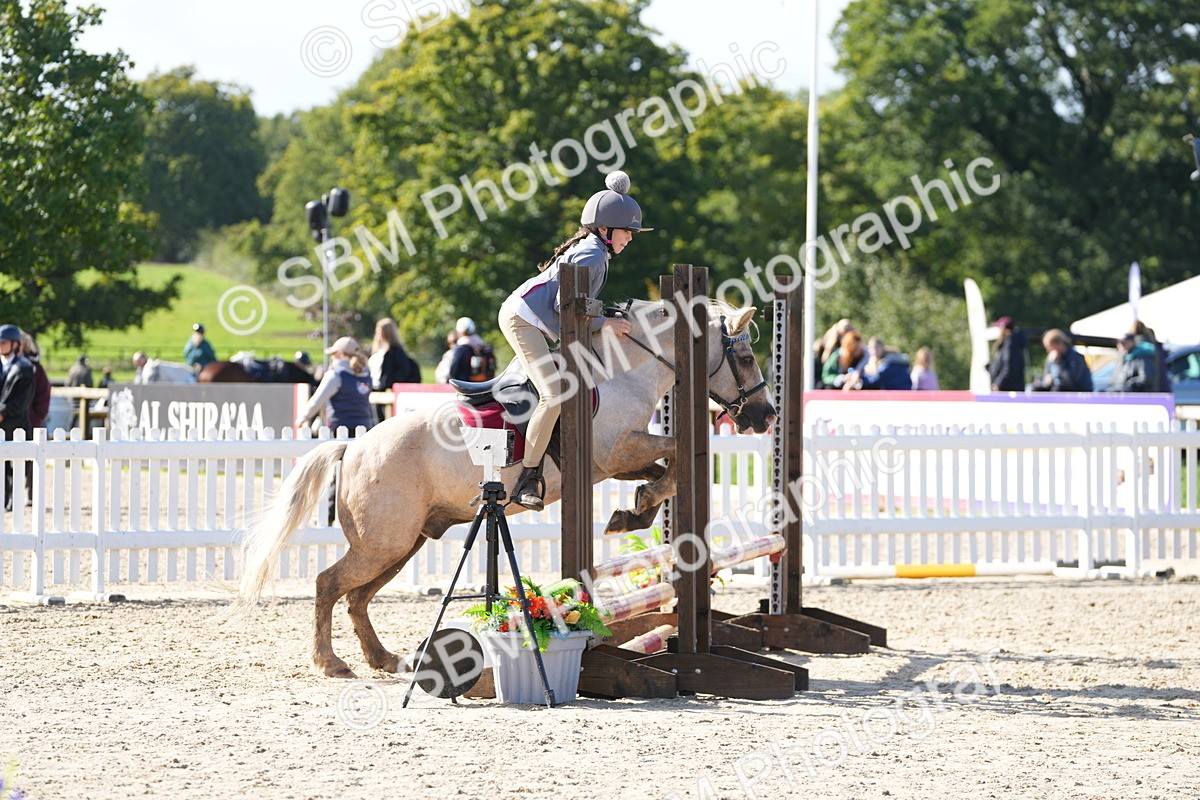 SBM_38304 - J6 - Junior Pony 55cm Championship