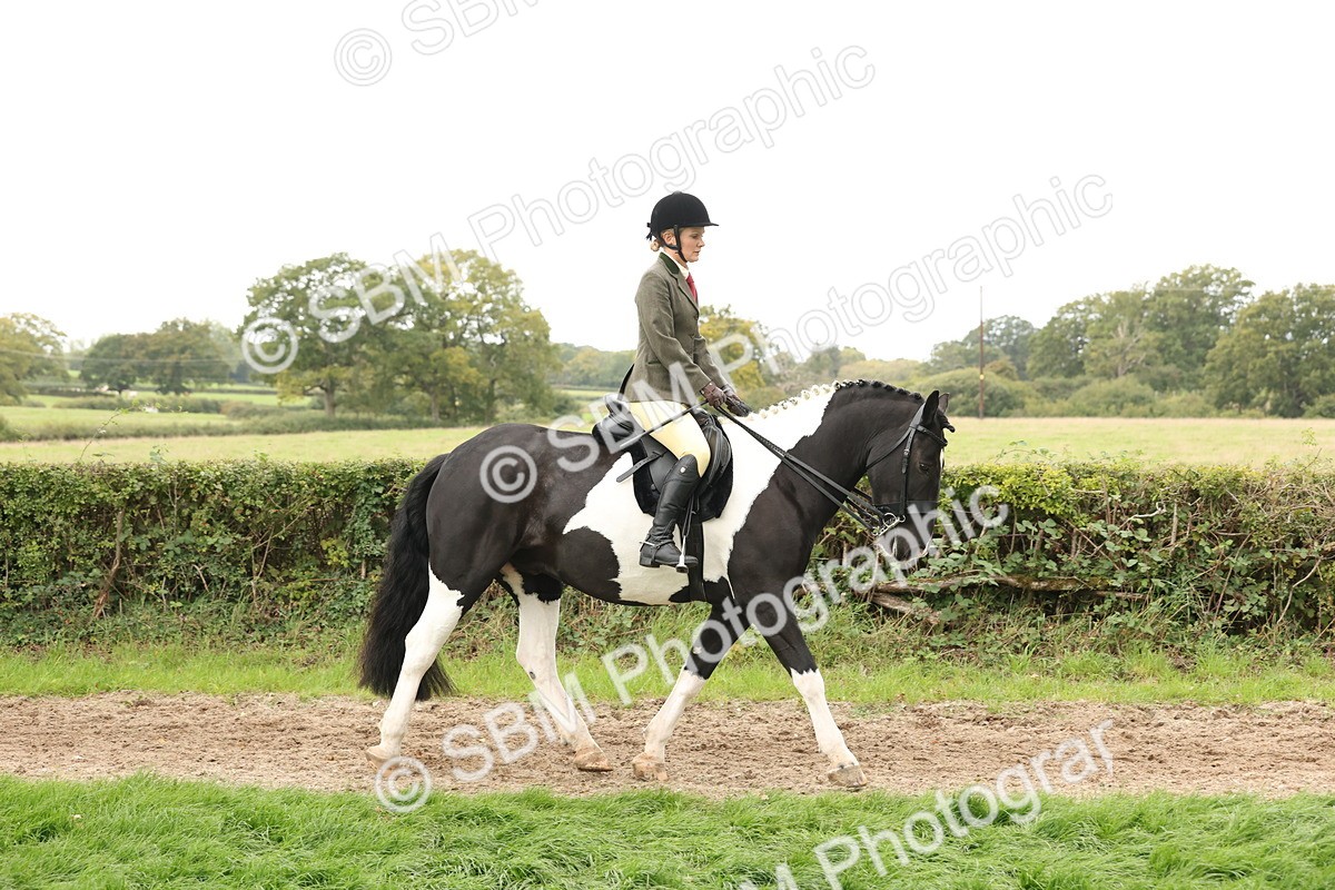 SBM_67219 - S67 - Piebald & Skewbald Horse Ridden