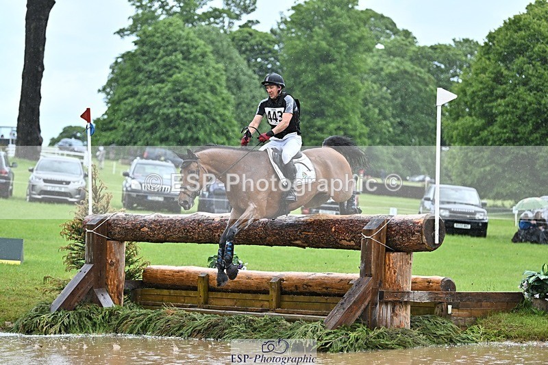 240526-134512-23071 - 443-FIGARO_DES_PREMICES-Alexander_Peternell