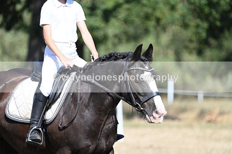 WJ7_9559 - Time 10:32 to 10:55