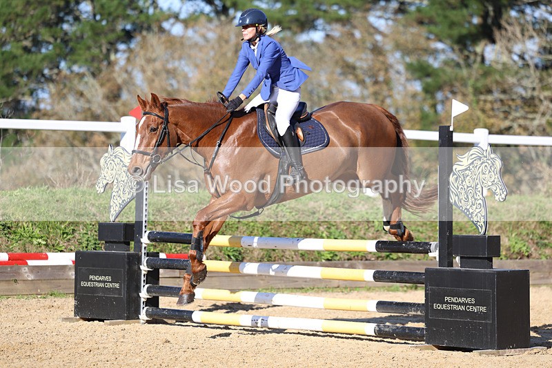 3E7A5405 - Class 4: Senior British Novice/90cm open