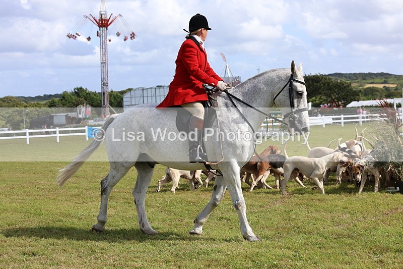 3E7A3407 - Parade of Hounds
