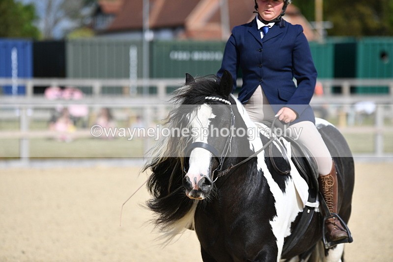 WJ5_7798 - Time 16:40 to 16:55