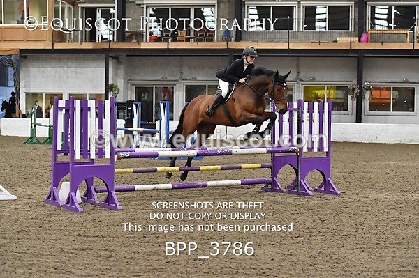 BPP_3786 - FRI CLASS 21 BR NOVICE/90CM