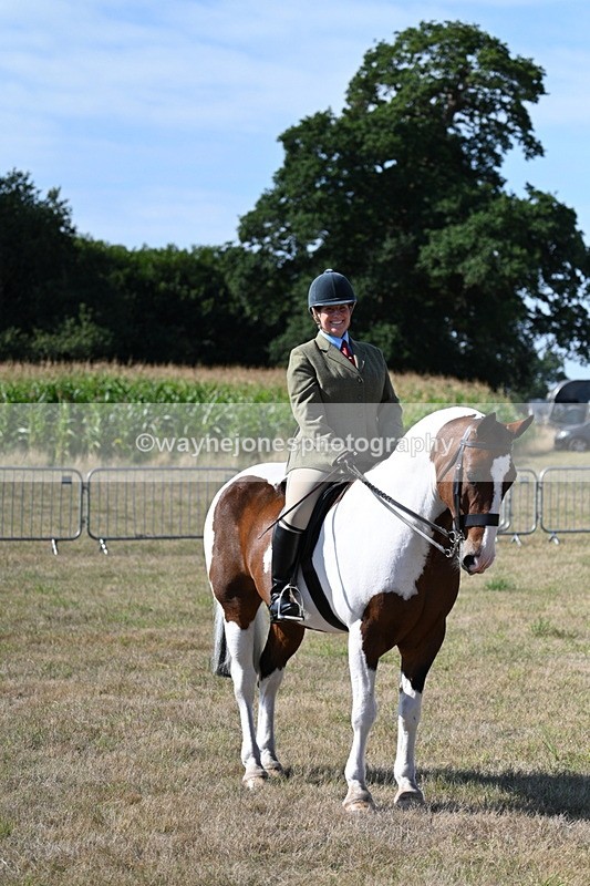 WJ7_3145 - Class 8 Ridden Tack & Turnout