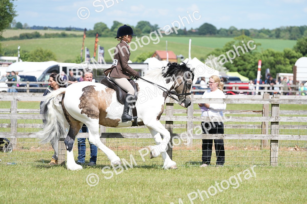 SBM_17128 - Class 107-108 - LIHS BSPS Performance Coloured Horse Pony