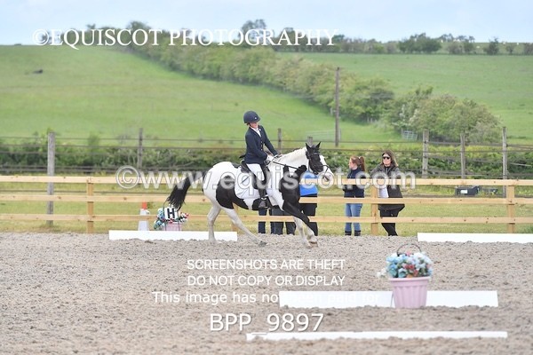 BPP_9897 - SHORT ARENA  MY QUEST PRELIM
