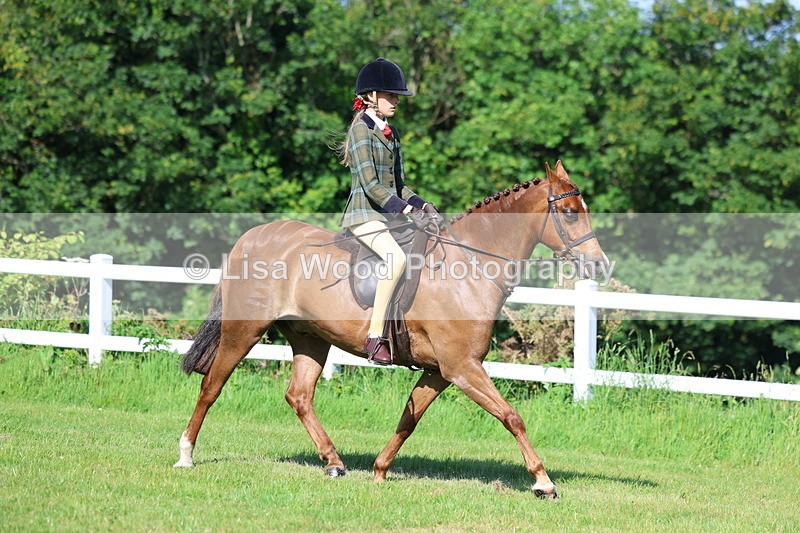 3E7A5967 - Class 27: Novice Working Hunter Pony