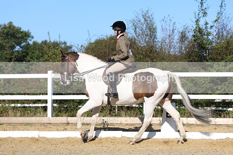 3E7A5277 - Class 8: Small Ridden Hunter