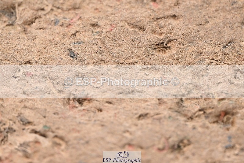 240912A-151137-02103 - Cls 13 1.10m Amateur Qualifier