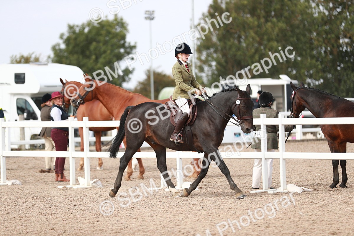 SBM_14814 - Class 212 Ridden Hunter - Small