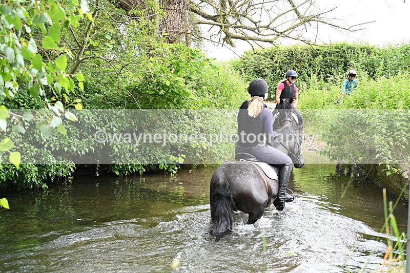 WJ7_2205 - Camera 2 Water Crossing