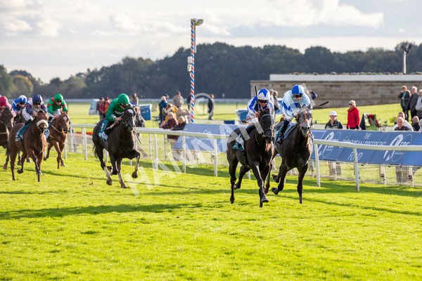 111024-Race 6-Fondo Blanco-6998 - Race 6 4.20pm William Hill EBF Novice Stakes