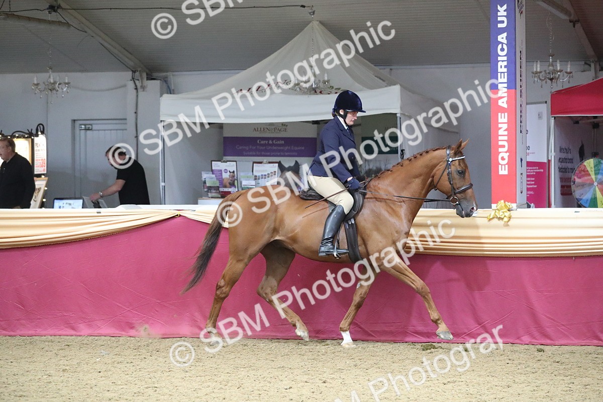SBM_12307 - Class 108 Ridden Retired Racehorse- Pre Judging