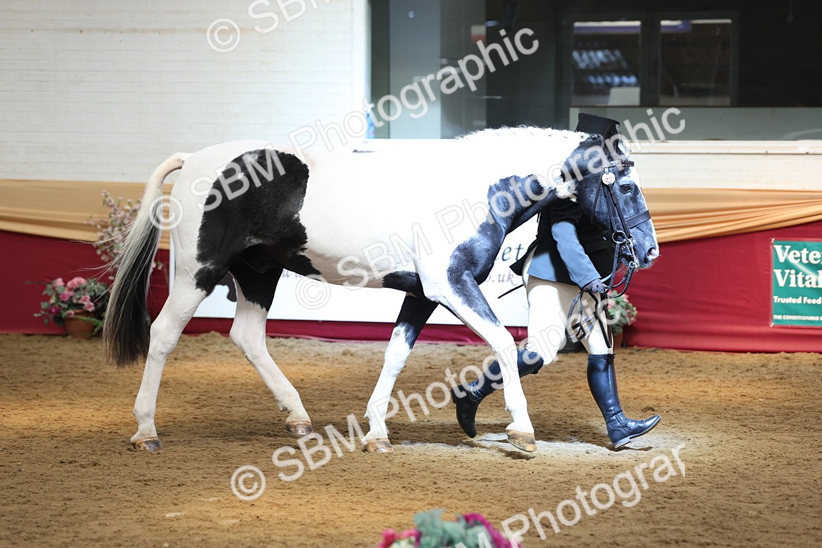 SBM_23582 - Class 904 - Supreme Final - Ridden Diamond