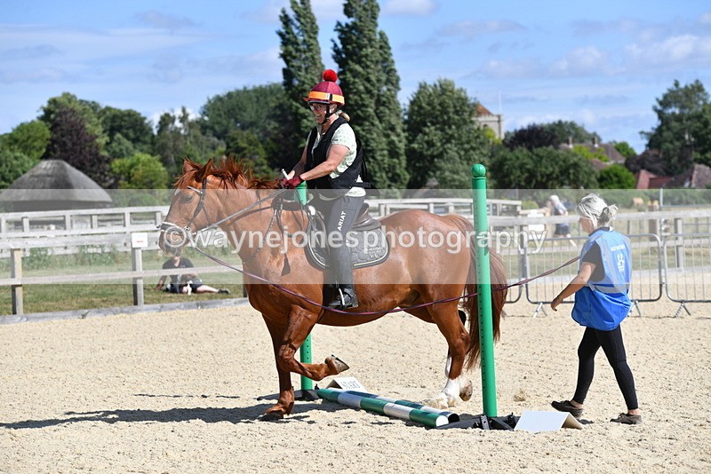 WJ5_5007 - Poles on the Floor