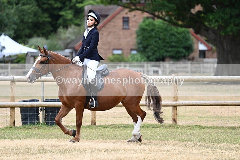 WJ7_0544 - Class 2 Best rider
