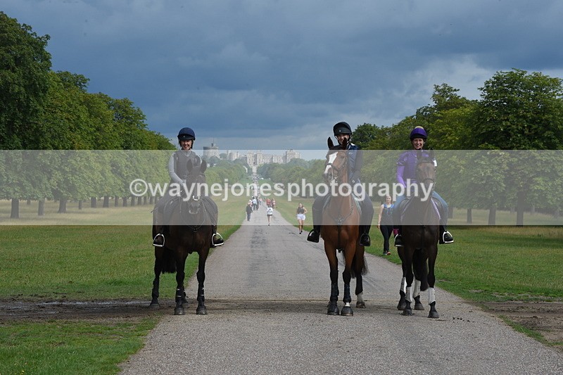 TT3_9185 - Time at Crossing 09:22 to 11:26