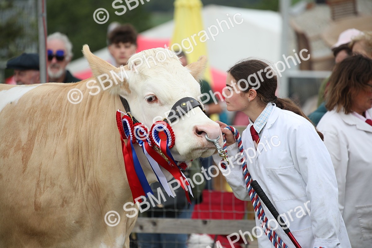 SBM_07859 - Grand Parade