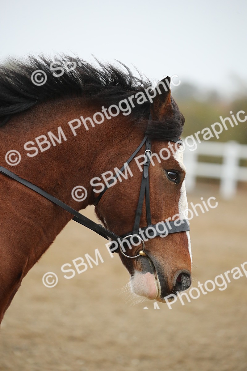 SBM_001373 - Prelim A-PYO