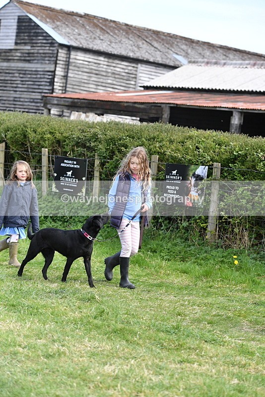 WJ5_0783 - Best in Show Championship