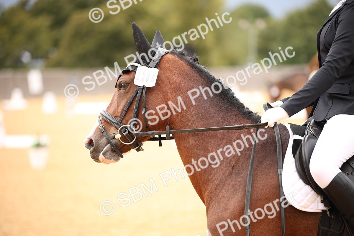 SBM_12235 - D3 Small  Tour Championship Intro A