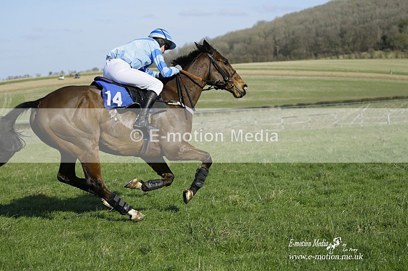 PtP 260222 381 - Kingston Blount Racing Club Point-to-Point 26/02/22