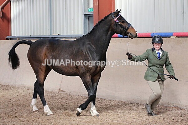 SIAL9910 - Indoor Classes