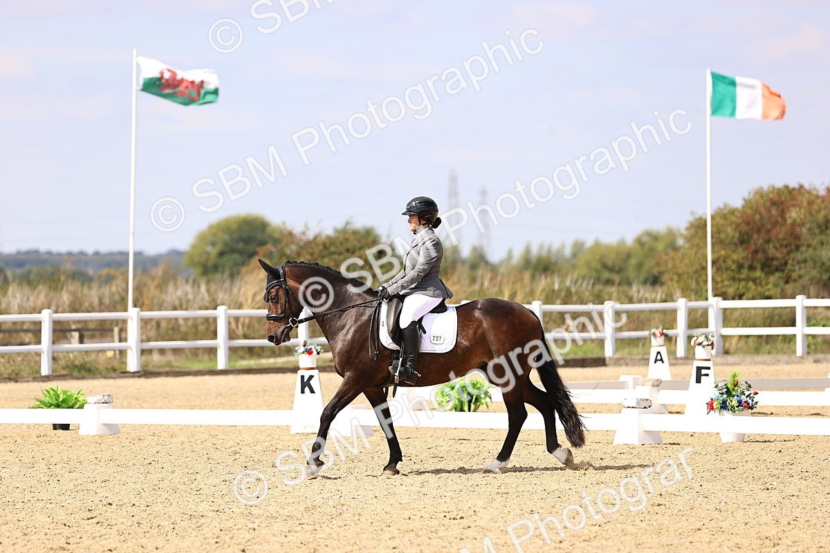 SBM_015020 - Class 6 - Elementary 5