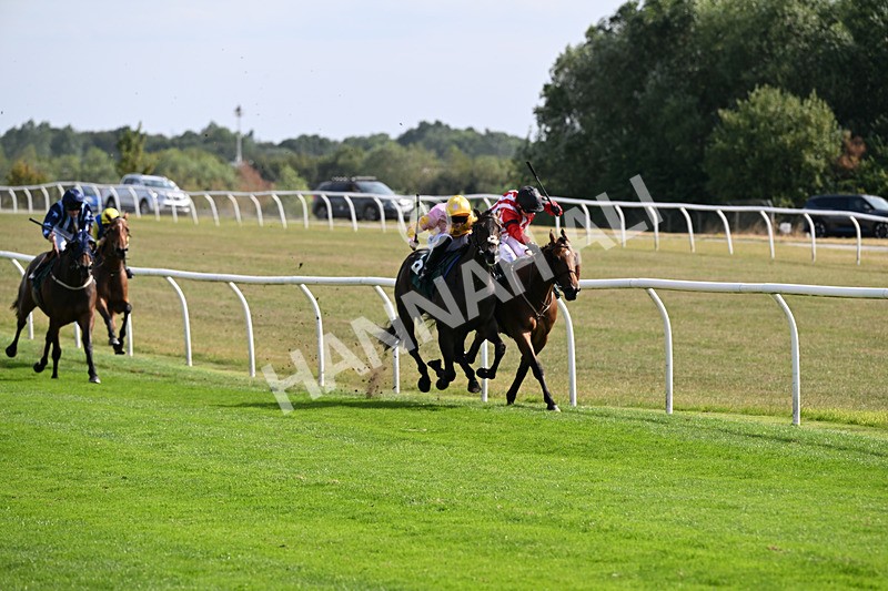 260826-Race 3-Battenburg Belle-2620 - Race 3 15:15 Happy 50th Birthday Victoria Melling Handicap