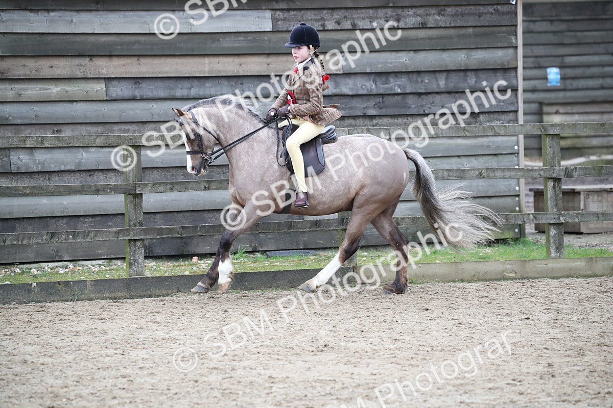 SBM_007100 - Class 10-13 - RIHS Small Large Breeds