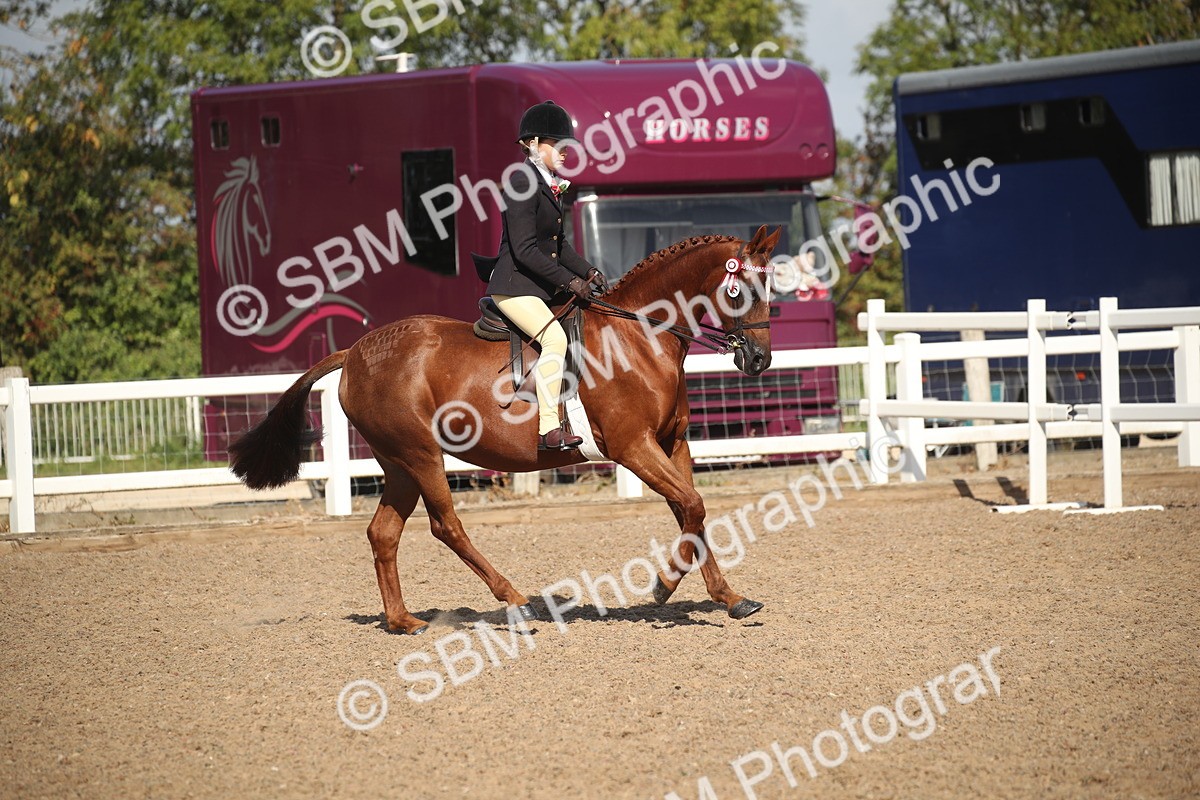 SBM_22917 - Class 603 - 2026 - Ridden Pre Vet