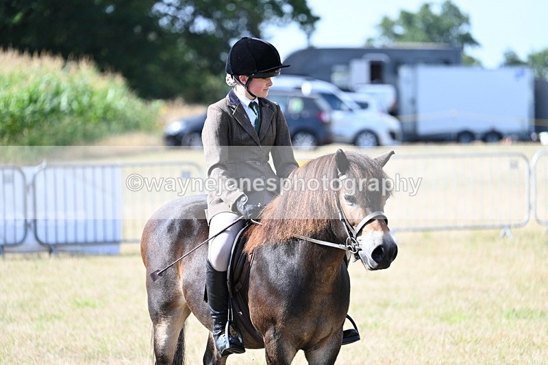 WJ7_2733 - Class 8 Ridden Tack & Turnout
