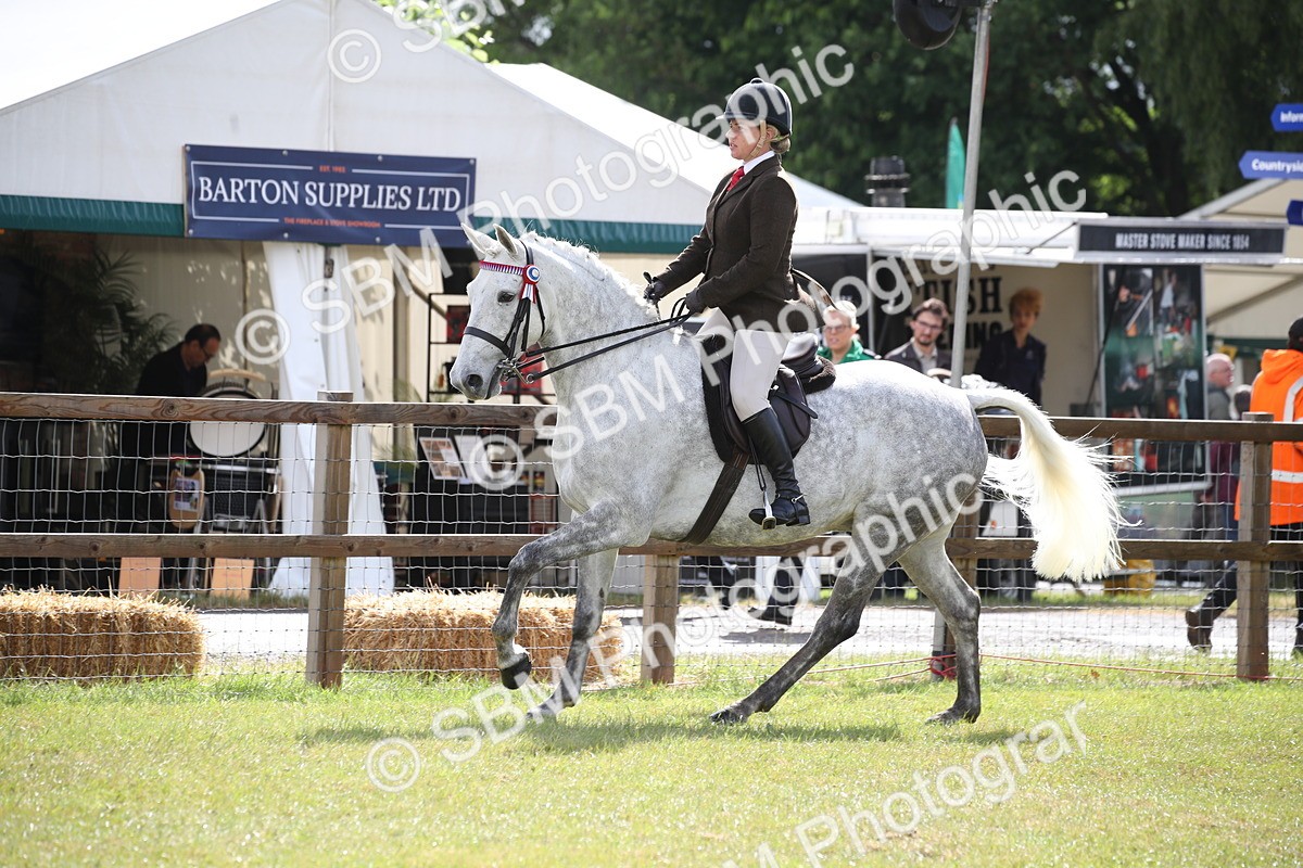 SBM_11519 - Class 95-96 - LIHS BSHA Rising Star Hack Riding Horse