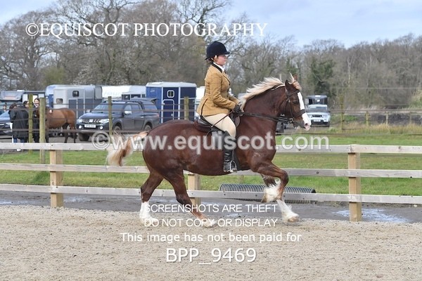 BPP_9469 - RING 2 - M&M