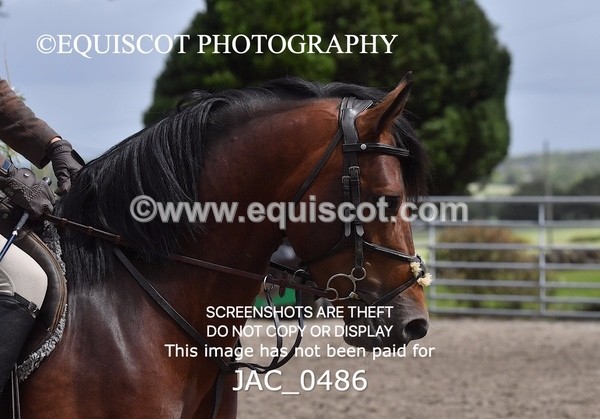 JAC_0486 - CLASS 5 BSPS Scone Palace HT Training Stakes Series (0.70m)