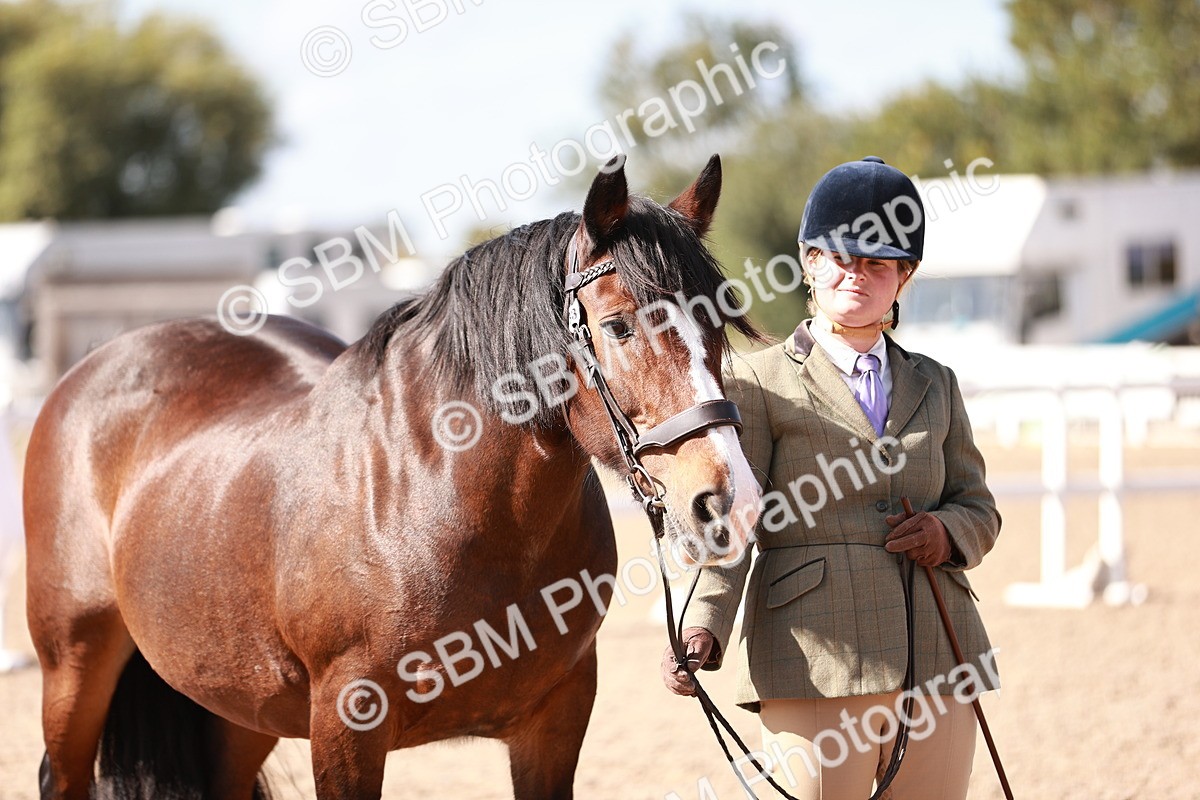 SBM_22912 - Class 706 - IH Veteran