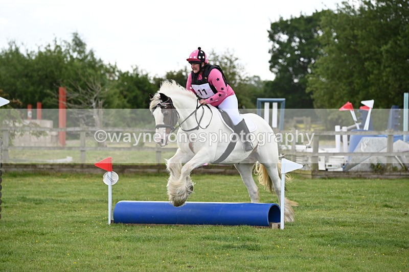 WJ6_2534 - Class 2 40cm