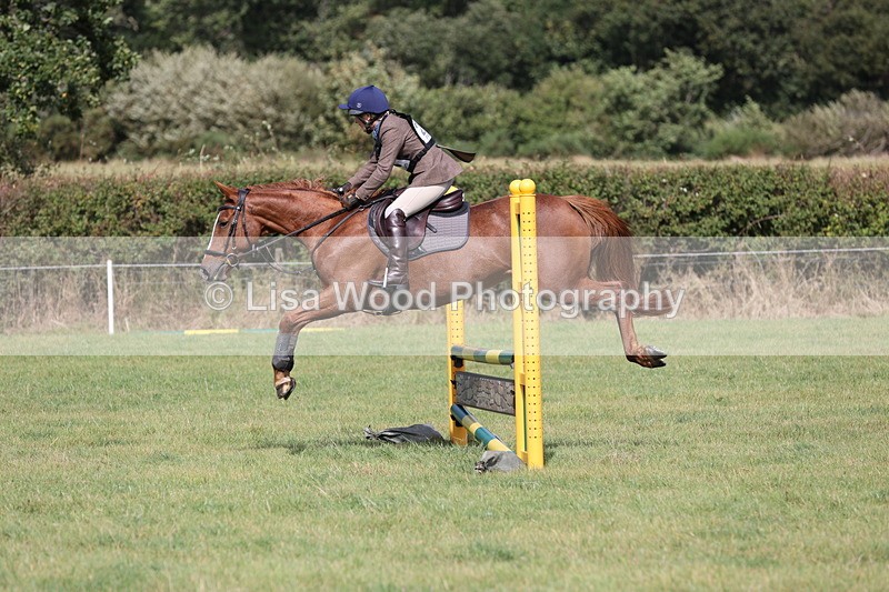 JPP_8802 - Class 2: Trekenning: 80cm Showjumping