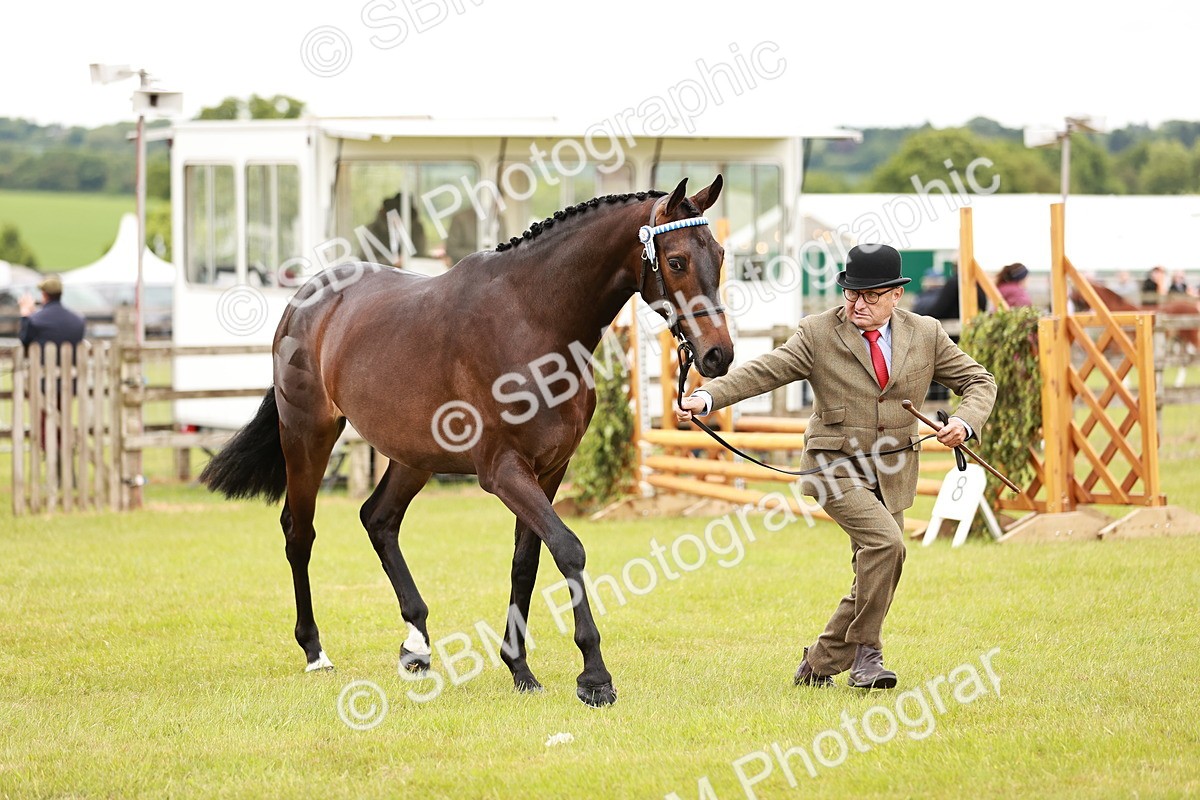 SBM_04763 - Class 35-38 Riding Horse Breeding