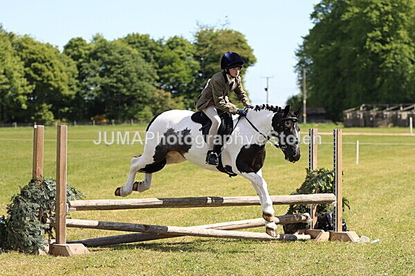 IMG_3801 - Working Hunter
