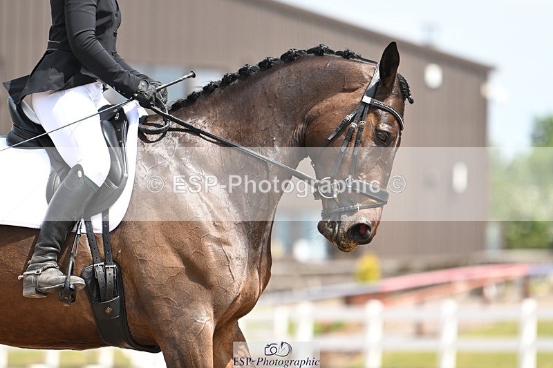 250620-123109-02948 - BD Cls 4 - Novice 5, 11.30am to 12.35pm