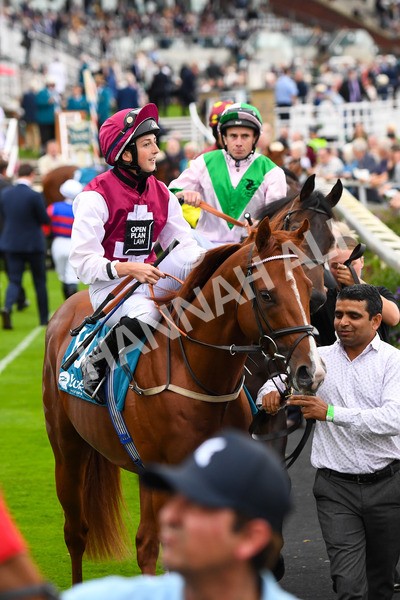 230823-Race 7-Zoulu Chief-0865 - Race 7 5.20pm Sky Bet Nursery Handicap