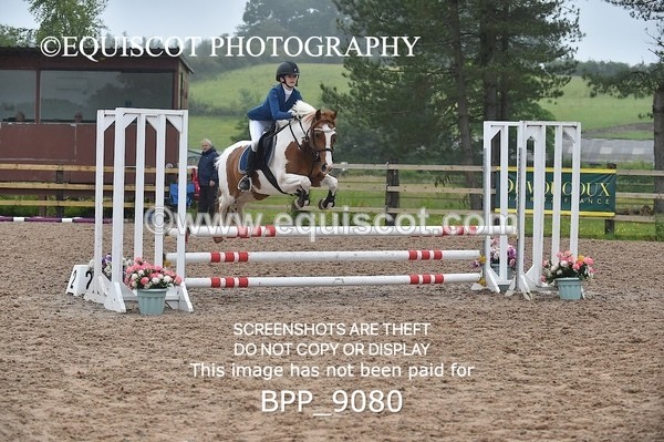 BPP_9080 - CLASS 14 SUN Pony British Novice / 0.80m Open