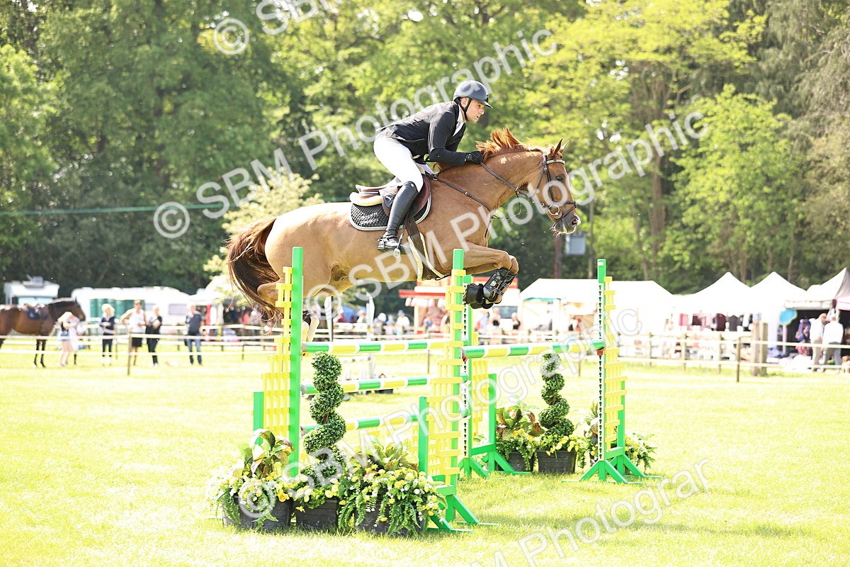 SBM_02980 - Class 201 - British Horse Feedds Speedi Beet HOYS Grade C