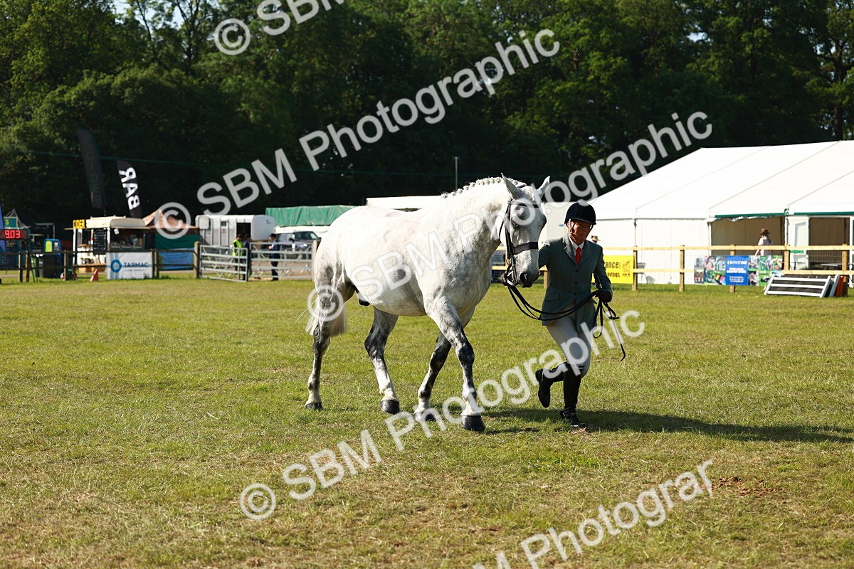 SBM_11831 - Class 66-69 - RIHS Ridden Hunters Inc Small Hunter